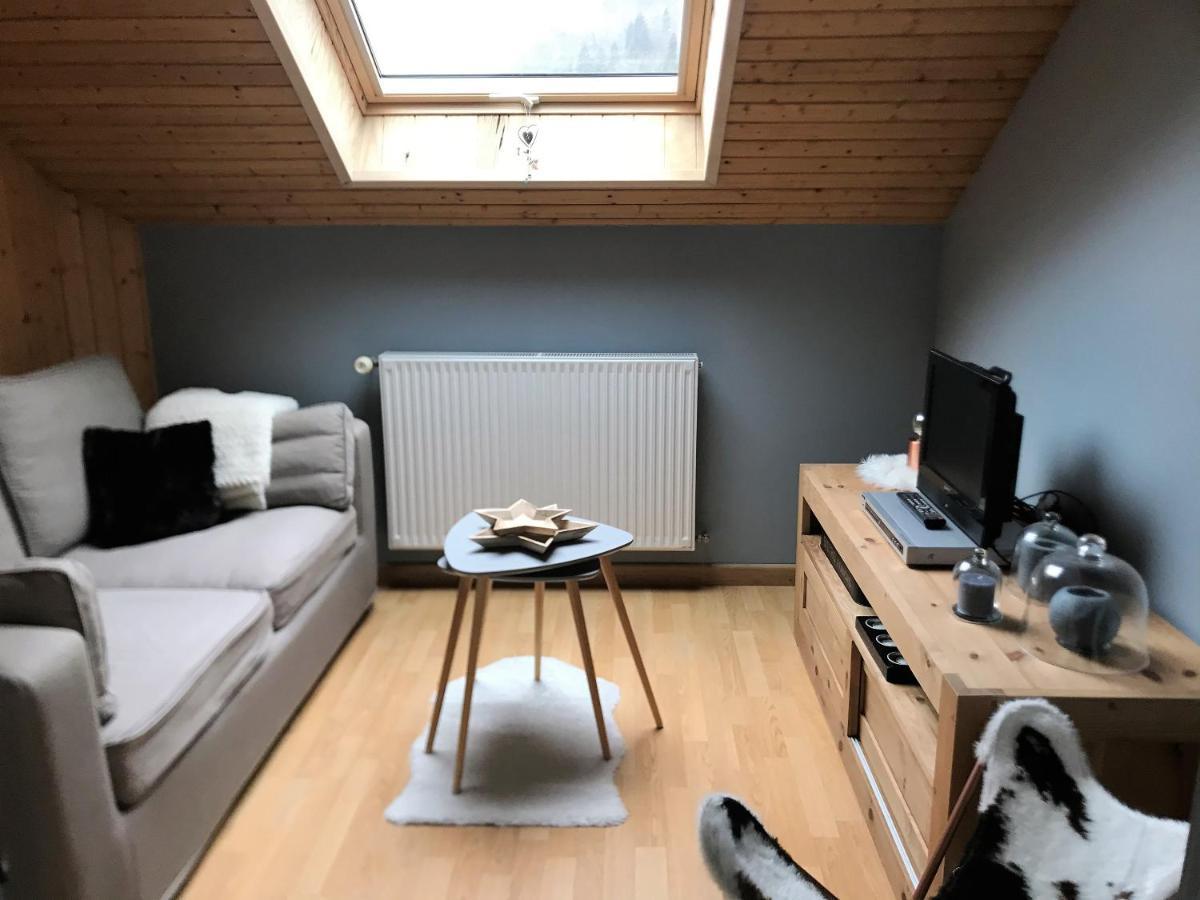 Charmant Appartement 2-4 Personnes Entre Annecy Et Aravis Thônes Exteriör bild