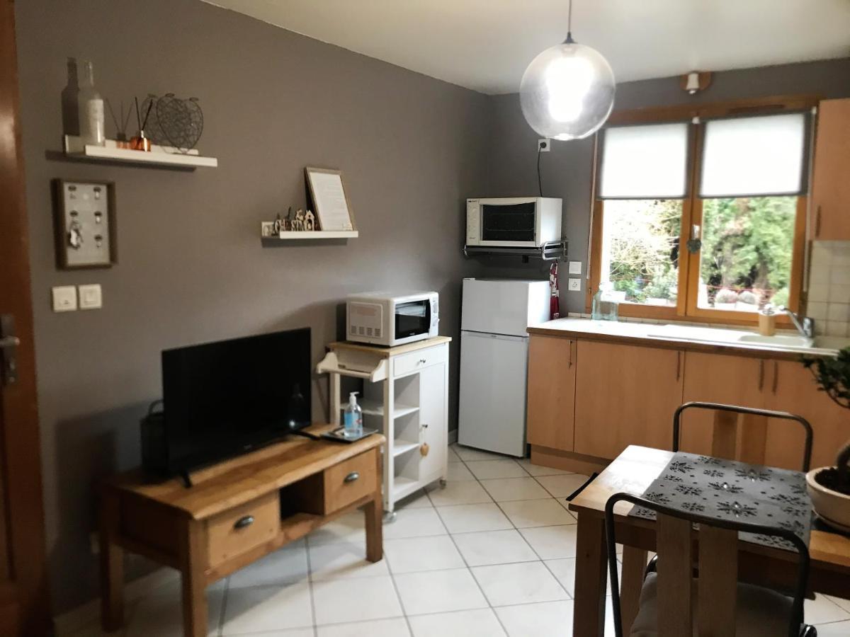 Charmant Appartement 2-4 Personnes Entre Annecy Et Aravis Thônes Exteriör bild